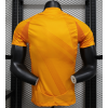 Real Madrid 2024/25 Away Replica Custom Jersey Champions League Jerseys- Yellow