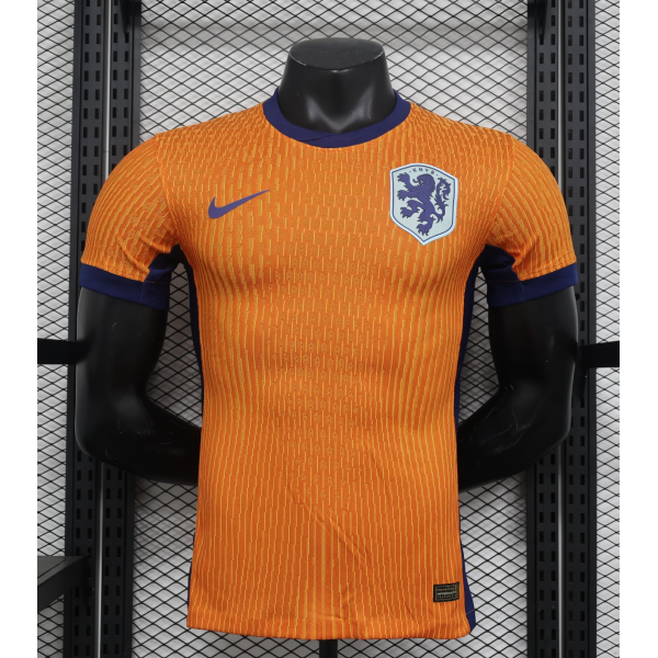 Netherland 2024/25 Home Replica Custom Jersey Football Jerseys- Orange