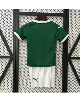 Palmeiras FC 2024/25 Home Kids Apparel Replica Custom Jerseys Youth uniforms - Green