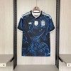 Argentina 2026/27 World Cup Away Replica Custom Jersey Jerseys-Blue