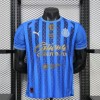 Chivas 2026/27 Replica Soccer Jersey Custom Jersey Liga MX Jerseys
