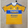 Tigres UANL América 2026/27 Replica Soccer Jersey Custom Jersey Liga MX Jerseys