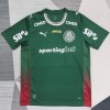 Palmeiras 2026/27 Replica Soccer Jersey Custom Jersey Brasileirao Jerseys