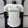 Palmeiras 2026/27 Replica Soccer Jersey Custom Jersey Brasileirao Jerseys