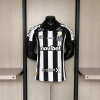 Santos 2026/27 Replica Soccer Jersey Custom Jersey Brasileirao Jerseys